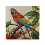 Bild Versa Papagei Leinwand (80 x 80 cm)
