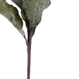 Dekorative Blume DKD Home Decor EVA (Ethylen-Vinylacetat) (2 pcs)