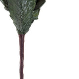 Dekorative Blume DKD Home Decor EVA (Ethylen-Vinylacetat) (2 pcs) (27 x 83 cm)