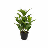 Dekorationspflanze DKD Home Decor PVC (47 x 45 x 63 cm)