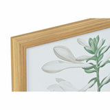 Bild DKD Home Decor 43 x 3 x 53 cm Botanische Pflanzen (2 Stück)