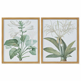 Bild DKD Home Decor 43 x 3 x 53 cm Botanische Pflanzen (2 Stück)