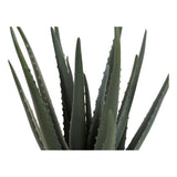 Dekorationspflanze DKD Home Decor Aloe Vera Polyäthylen Steingut (20 x 20 x 47 cm)