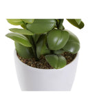 Dekorationspflanze DKD Home Decor Orange grün Steingut Polypropylen (PP) (9.8 x 8 x 18 cm) (2 pcs)