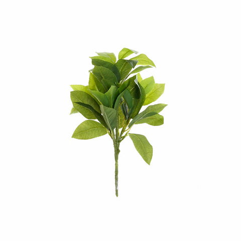Dekorative Blume DKD Home Decor grün PVC (20 x 15 x 31 cm)