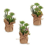 Dekorationspflanze Kunststoff Blomster (13 x 25 x 13 cm)
