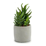 Kaktus Kunststoff Kaktus (10,5 x 21 x 10,5	cm)