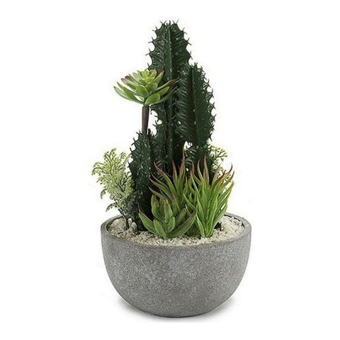 Kaktus Kaktus (17 x 30 x 17 cm)