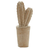 Kaktus Stein (13 x 38 x 13 cm)