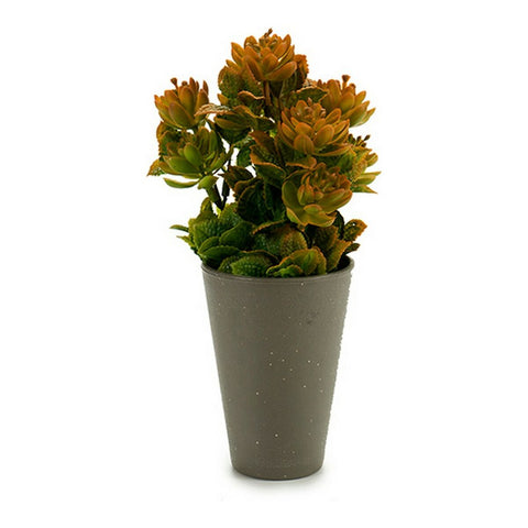 Dekorationspflanze Grau Kunststoff (10 x 22 x 10 cm)