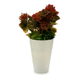 Dekorationspflanze Weiß Kunststoff (10 x 22 x 10 cm)