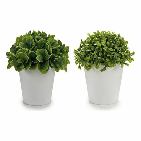 Dekorationspflanze ‎S3605248 Weiß grün Kunststoff (13 x 17 x 13 cm) (13 x 15 x 13	 cm)